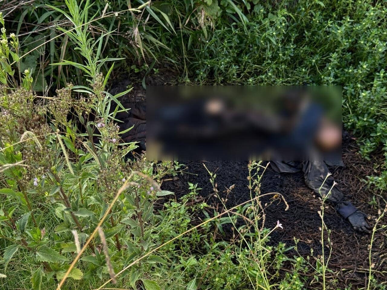 Corpo em avançado estado de decomposição é localizado em área rural de Santa Vitória do Palmar