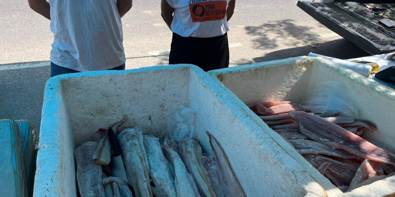 Semana do Peixe inicia com 46 bancas e boa expectativa de vendas