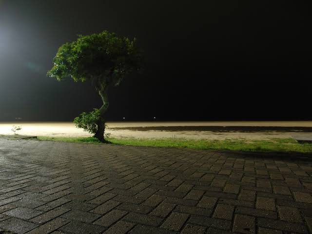 Embarcação afunda no Laranjal e tripulantes conseguem chegar à margem sem ferimentos – Portal Pelotas Notícias