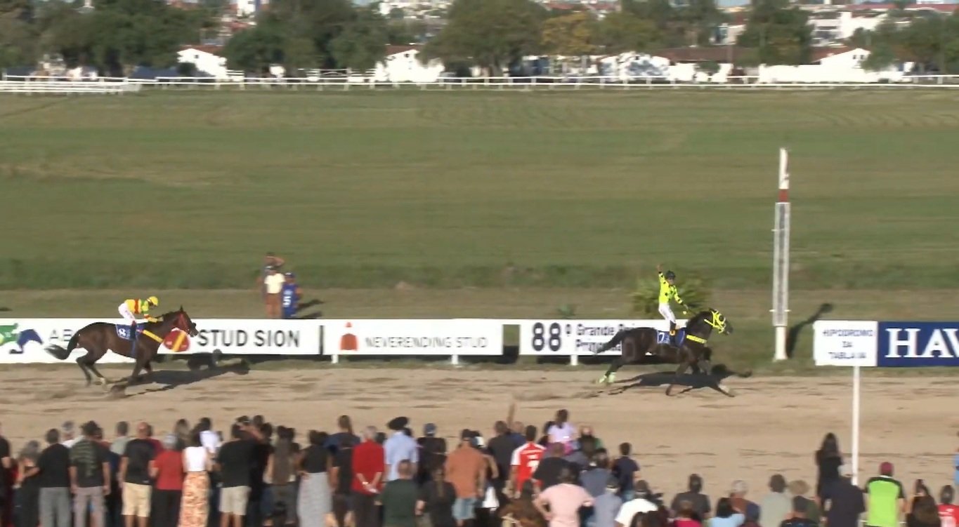 Haragano Corunilha vence o 88º GP Princesa do Sul –