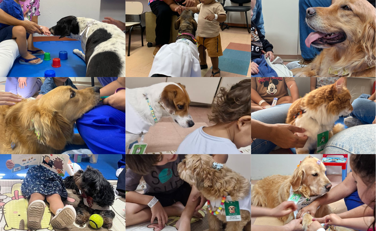 Projeto com animais leva acolhimento a crianças internadas no HE-UFPel – Portal Pelotas Notícias