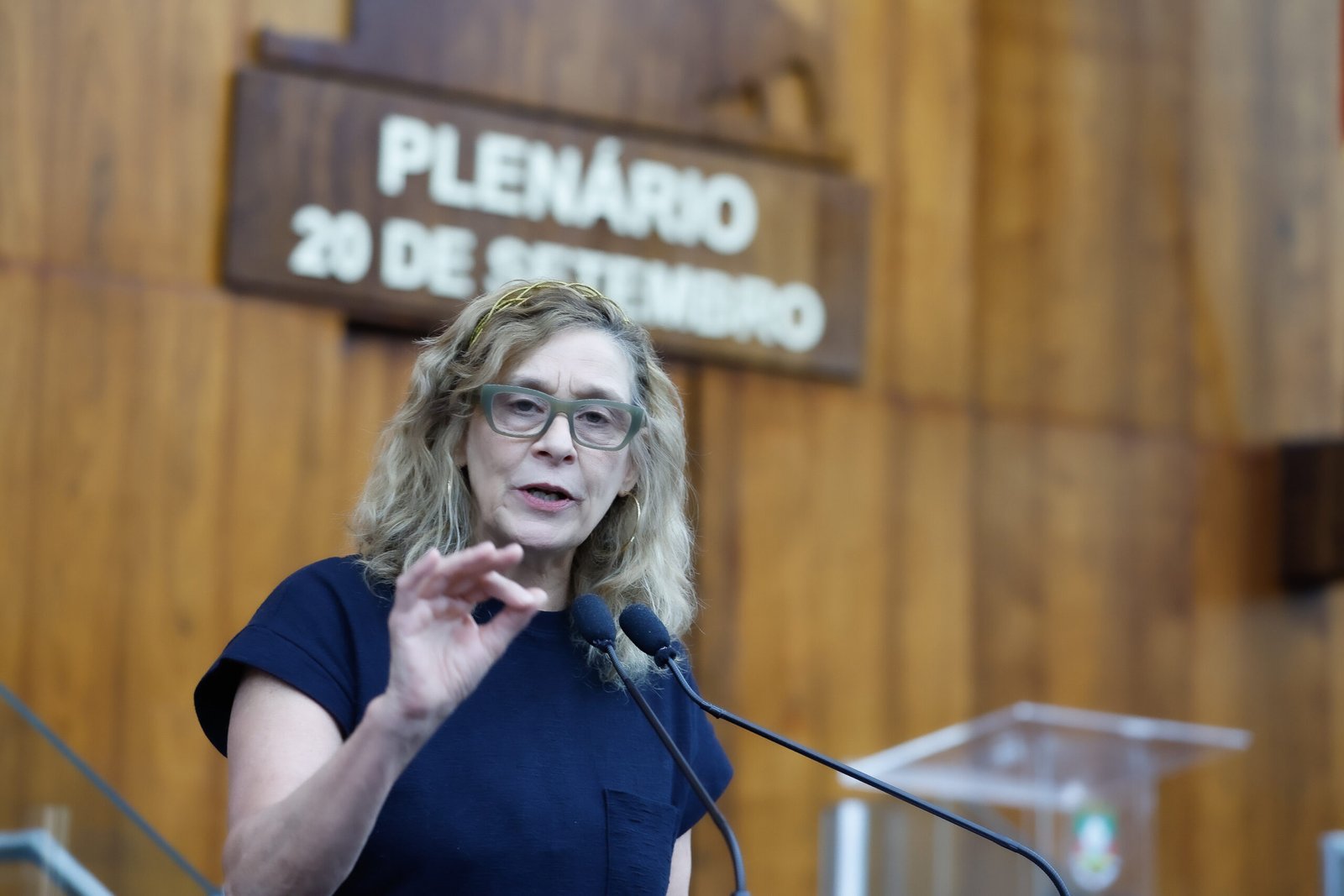 Assembleia aprova comissão para avaliar políticas culturais no Rio Grande do Sul – Portal Pelotas Notícias
