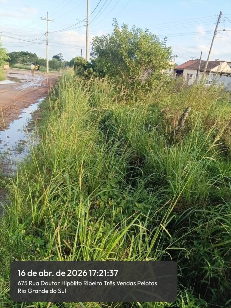 Moradores denunciam ruas em condições precárias no Sítio Floresta e cobram ampliação de ações da Prefeitura – Portal Pelotas Notícias