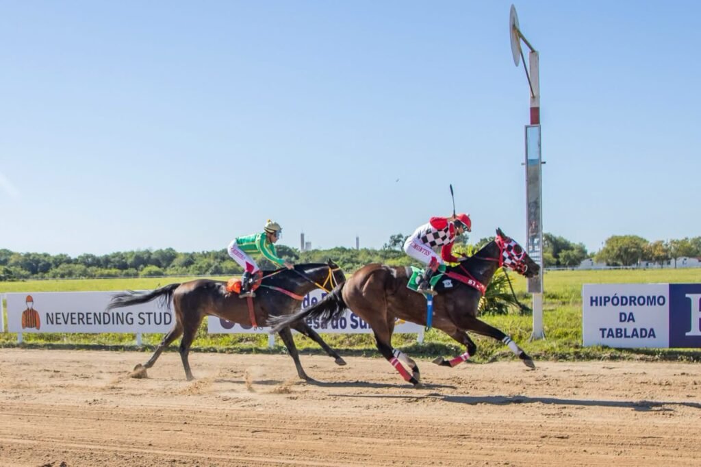 Dança Árabe brilha em Pelotas e consagra a criação do Haras Santa Ignes – Portal Pelotas Notícias