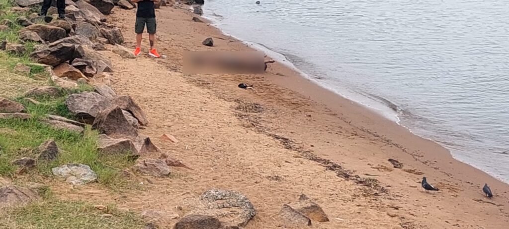 Corpo é encontrado no Guaíba, em Porto Alegre, e caso será investigado pela Polícia Civil – Portal Pelotas Notícias