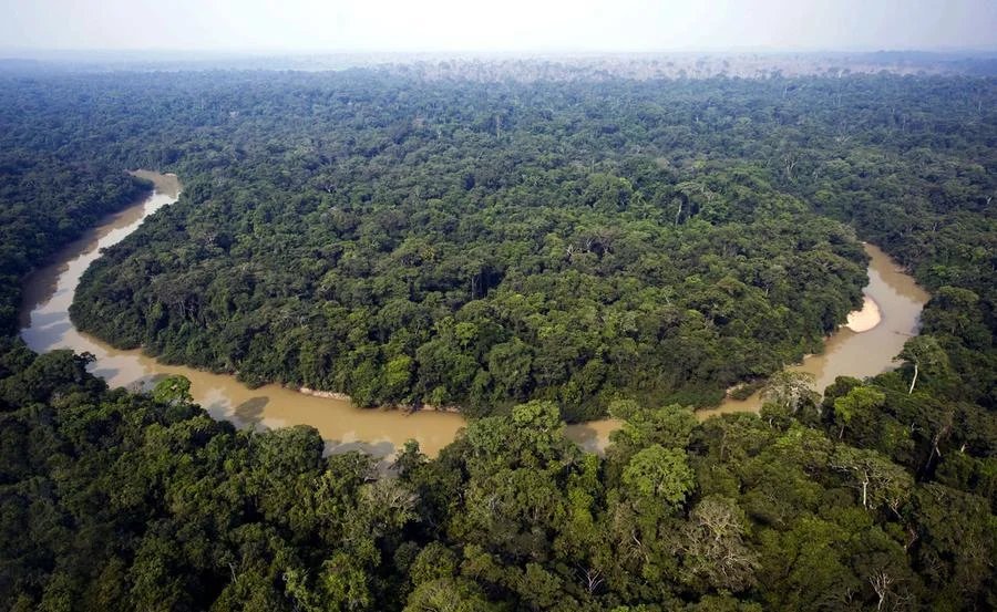 Câmara aprova projeto de lei que reduz limites da Floresta Nacional do Jamanxim