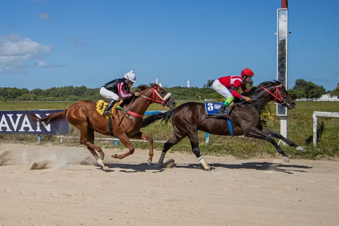 Jockey Club sedia neste domingo o GP Consolação do Princesa do Sul